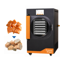 Lyophilisateur automatique 110V 8-10Kg pour la transformation alimentaire, lyophilisateur moyen avec pompe, équipement de lyophilisation