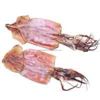 Calmar séché entier, délicieux et moelleux, saveur naturelle de la mer, excellent en-cas riche en protéines, approvisionnement en vrac.