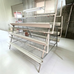 Cage à poules pondeuses galvanisée à 4 niveaux pour l'élevage de 120, 128 ou 160 poules pondeuses, pour la production d'œufs, à vendre - Product Image 3