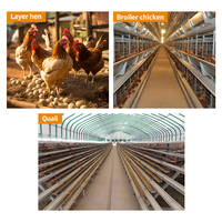 Nouveau 360 °   Abreuvoir automatique en acier inoxydable pour volailles, mini format, pour l'aquaculture, abreuvoirs pour animaux, utilisation à la ferme, poulet