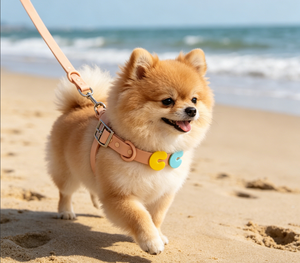 Collare di Lusso <span class=keywords><strong>per</strong></span> <span class=keywords><strong>Cani</strong></span> in Silicone <span class=keywords><strong>con</strong></span> Lettere, 26 Lettere, Ciondolo Cartone Animato Carino, Nome Personalizzabile, Alta Elasticità, <span class=keywords><strong>Per</strong></span> Tutte le Stagioni - Product Image 1