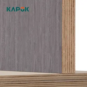 New Product Promotion Melamine Poplar 2*4 Inch 1/2''mm Fancy Veneer or E0 Melamine Paper Fancy Plywood Board for Pakistan