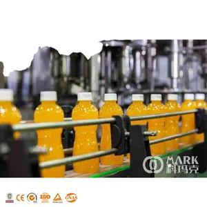 Factory Price Automatic Plastic Bottled Fruit Juice Filling Machine