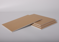 Panneau ignifuge Panneau d'oxyde de magnésium en PVC pour la décoration intérieure Panneau Slap Plates Sheet Materials Face Slab