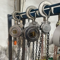 Mini-grue de levage portable 250 kg 3 m avec palan à chaîne, acceptant les commandes OEM