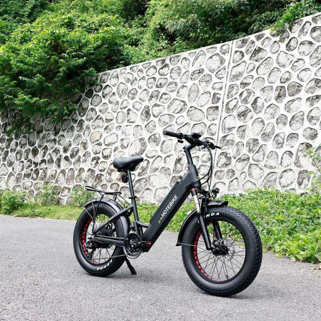 Powerful Fat Tire 52v Electric Bike 48v Electric Bicycle Full Suspension 750w High Quality Ebike