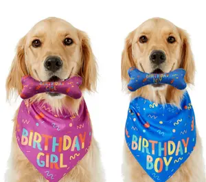 Оптовая продажа с фабрики на день рождения Бандана и кости жевать игрушка набор собака изготовленный на заказ, с принтом "Собака", одежда для купания