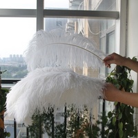 Plumes d'autruche en gros, grandes (65-70 cm), multicolores, pour coiffes de carnaval, sacs à dos, décorations de mariages et événements