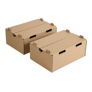 Caja <span class=keywords><strong>de</strong></span> Cartón Corrugado Premium para Frutas Frescas, Cítricos, Manzanas, Uvas, Empaque Personalizado, Fabricante OEM ODM - Product Image 5