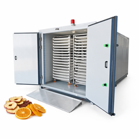 Déshydrateur à pompe à chaleur à économie d'énergie pour mangues, séchoir industriel pour fruits et légumes, machine de séchage pour pommes de terre et tomates