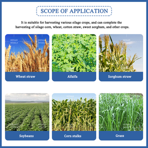 Pannolino taglierina erba mais foraggio mais silaggio raccoglitore di erba lato silaggio mietitore - Product Image 2