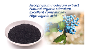 Prix usine Organique Varech <span class=keywords><strong>Poudre</strong></span> <span class=keywords><strong>Engrais</strong></span> Extrait D'<span class=keywords><strong>algues</strong></span> pour L'agriculture Extrait D'<span class=keywords><strong>algues</strong></span> De Qualité Supérieure <span class=keywords><strong>Poudre</strong></span> De Varech - Product Image 5