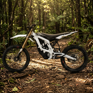 <b>Light</b> 2 Zerogo 2026 Black 410N.m Torque 215mm Front Shock 1. Increased Power Improved Accelerationperformance 0-80 Km/h I - Product Image 2