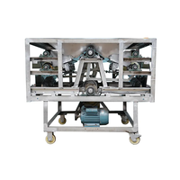 Machine à casser les noix de pécan en acier inoxydable 201 à couche unique, capacité 500 kg/h, réglable