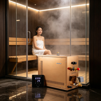 Générateur de vapeur 6 kW Or Rose à vidange automatique, certifié CE, pour salle de vapeur résidentielle et commerciale – Vente directe usine