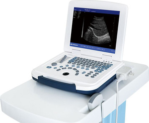 Ecógrafo Portátil en Blanco y Negro Dawei DW-580 con Pantalla de 12.1 Pulgadas para Práctica Veterinaria - Product Image 4