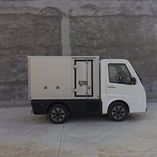 Whosale Electric Ev Car Van 300km Range Vehicle Runhorse Automobile 2 Seater Enclosed EV Pickup Truck Made in China