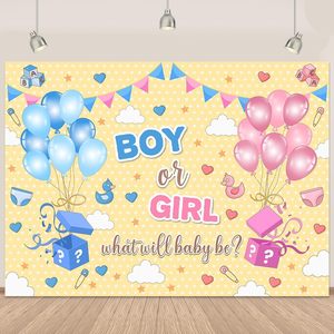 Toile de fond photographique pour révélation du sexe de bébé, thème crème glacée, avec bannière « Quel est le THÈME ? Garçon ou Fille ? », pour fête ou baby shower, fond personnalisable - Product Image 3