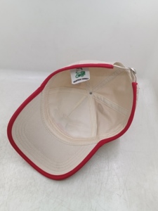 Gorras de Béisbol Personalizadas con Diseño de Caricaturas y Logotipo Bordado en Tela - Product Image 6