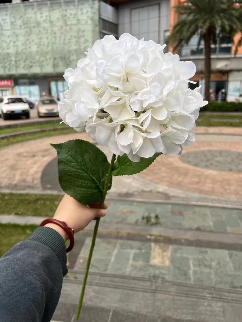 Aumenta la palla ricamata francese a testa singola bianca