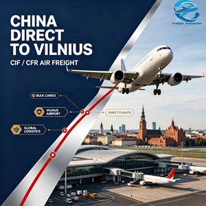 Transitaire aérien chinois : Approvisionnement en gros, livraison rapide et sécurisée LCL/FCL à VNO, PLQ, KUN, <span class=keywords><strong>SQQ</strong></span>, CIF/CFR, livraison à l'aéroport en Lituanie - Product Image 6