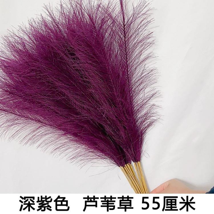 Hierba de caña morado oscuro de 55 cm, 10 ramitas.