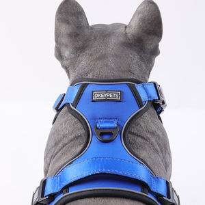 Okeypets tali kekang anjing Oxford, kekang anjing dengan pegangan Neoprene dan <span class=keywords><strong>2</strong></span> tali tambahan jaring lembut warna-warni tahan lama - Product Image 2