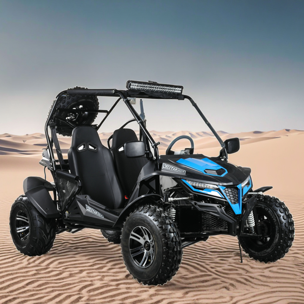 Gas Powered Dune Buggy 200cc High Performance Off-Road