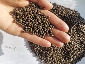 โรงงานโดยตรงอุปทาน<span class=keywords><strong>ราคา</strong></span>ที่ดี Diammonium ฟอสเฟต DAP18-<span class=keywords><strong>46</strong></span>-<span class=keywords><strong>0</strong></span> - Product Image 3