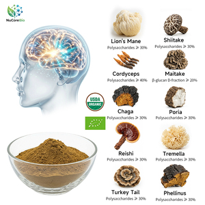 Extracto Nutricional <span class=keywords><strong>de</strong></span> Hongos Orgánicos USDA EU 10 en 1 en Polvo, Extracto <span class=keywords><strong>de</strong></span> Hongos Complejo: Melena <span class=keywords><strong>de</strong></span> León, Reishi, Cola <span class=keywords><strong>de</strong></span> Pavo - Product Image 1
