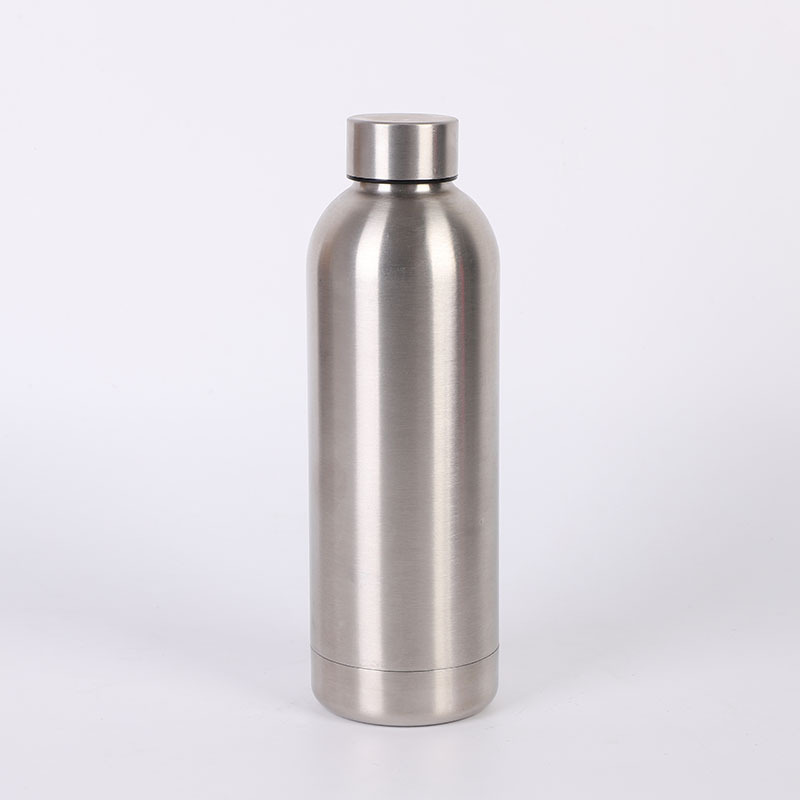 Stainless Steel Bottle- Silver
