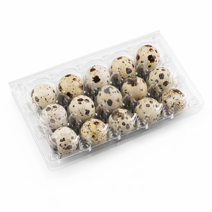 Boîte d'emballage jetable en plastique PET transparent pour œufs de <span class=keywords><strong>caille</strong></span>, plateau en plastique transparent à 6, 8, 10, 12, 15, 18, 20, 24, 30 alvéoles pour œufs de <span class=keywords><strong>caille</strong></span> géants - Product Image 3