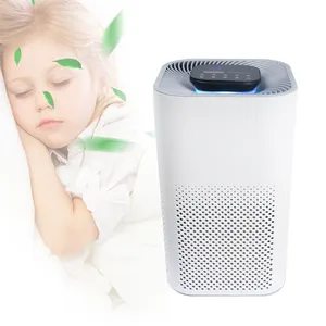 13/14 Hepa hava filtresi hava toz AirPurifier masaüstü küçük hava temizleyici makinesi ev otel garaj ofis için