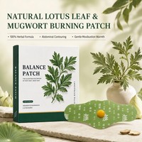 Patch corporel à base de plantes, vente en gros, ODM, marque privée