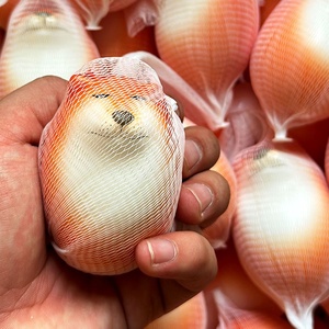 Juguete Antiestrés de Espuma PU con Forma de Huevo de Perro Shiba Inu, de Recuperación Lenta, <span class=keywords><strong>para</strong></span> Niños y Jóvenes, Divertido Regalo de Oficina - Product Image 2