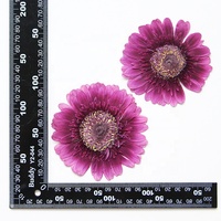 2pcs/pak Gerbera Daisy/African Daisy/Barberton Daisy Resin Blingbling Tanaman Alami Ramah Lingkungan Bunga Asli yang Ditekan