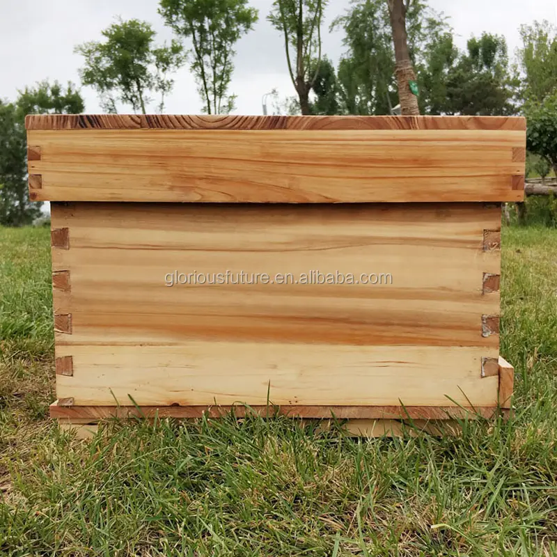 फैक्टरी बिक्री शहद मधुमक्खी खेती उपकरण चीनी मधुमक्खी छत्ता कीमत