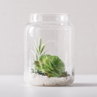 Lot de 3 pots à biscuits hermétiques en verre avec couvercle pour biscuits, farine, pâtes, bonbons, friandises pour chiens, herbes, avoine, collations et plus encore