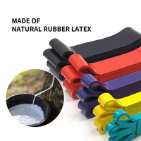 Ensemble de bandes de résistance de musculation en latex 100% haute résistance, bande d'assistance pour tractions, boucles d'entraînement, emballage en sac pour l'entraînement