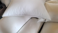 Coussin décoratif personnalisé en microfibre blanche à bas prix, insert d'oreiller 45x45cm (18x18 pouces) pour canapé, maison, hôtel