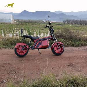 Citycoco <span class=keywords><strong>2022</strong></span>, meilleure performance, design populaire, scooter électrique 12 pouces, 2000W, moto adulte, entrepôt européen, Citycoco - Product Image 3