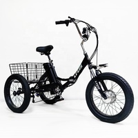 Tricycle électrique à 3 roues de 20 pouces, batterie 13 Ah, moto électrique à trois roues, scooter électrique pour adultes