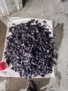 Super Sell 2025 Piedra de amatista en bruto con color púrpura en forma de crudo natural Usos multiusos Piedra de amatista - Product Image 3