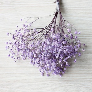 Softdream - Decoración al por Mayor, Flores Secas, <span class=keywords><strong>Ramo</strong></span> de Gypsophila Preservada, Flores Secas Preservadas, Baby's Breath para Decoración - Product Image 3