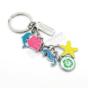 चाबी का गुच्छा के साथ निर्माता थोक ODM OEM कस्टम महासागर धातु कुंजी अंगूठी श्रृंखला - Product Image 1