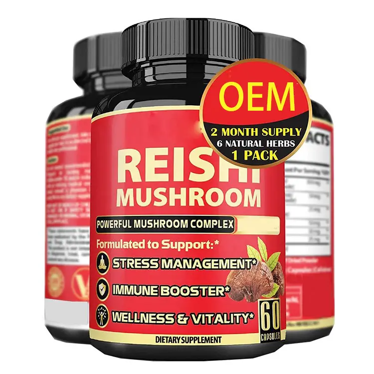 OEM Mushroom Supplement Kapseln Hersteller Mushroom Complex Kapseln für Brain Supplements für Memory Focus Energy Support