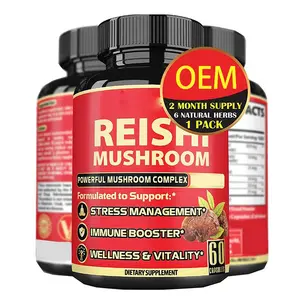 OEM Mushroom Supplement Kapseln Hersteller Mushroom Complex Kapseln für Brain Supplements für Memory Focus Energy Support