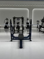 Banc d'entraînement plat Realleader, équipement de musculation commercial pour salle de sport, garantie de 6 ans FW-1001