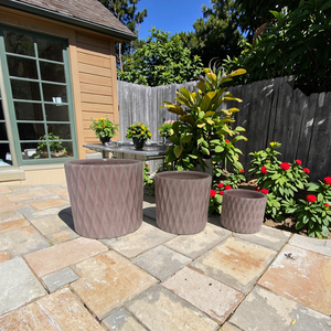 Bán Hàng Nóng Nổi Chậu Hoa Khuôn Trong Nhà Và Ngoài Trời Trang Trí Bê Tông Mọng Nước Trồng Cho Vườn Và Nhà - Product Image 4