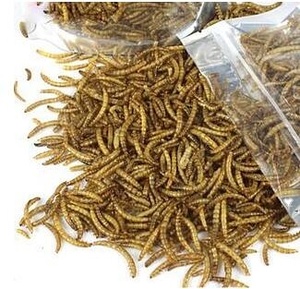 סיטונאי קפואים קפואים ליבשות מזון לחיות מחמד מזון טבעי לחיות מחמד לחיות מחמד לחיות מחמד - Product Image 3